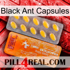 Black Ant Capsules new05